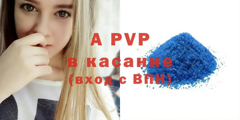 A-PVP СК КРИС  Балтийск 